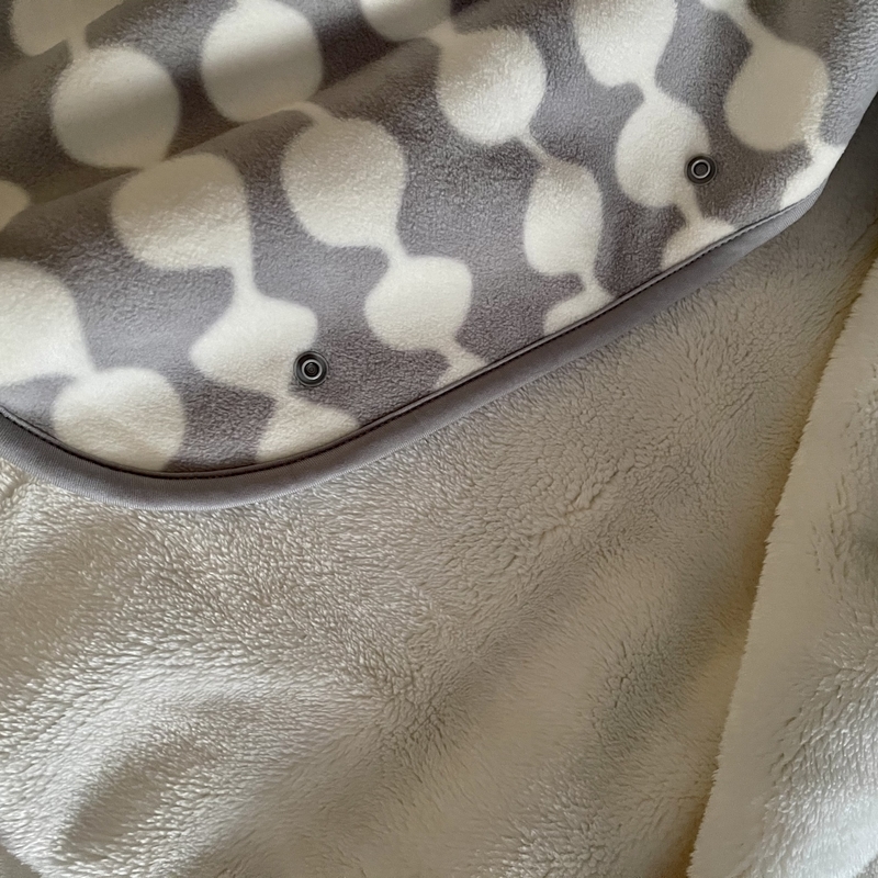 f:id:evergreen_flower:20201230204709j:plain