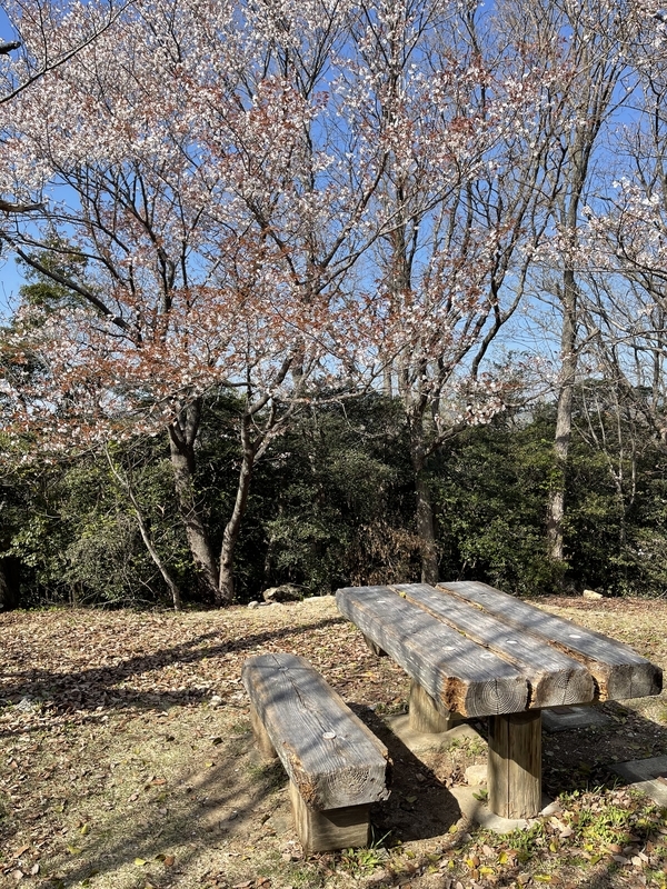 岩屋緑地