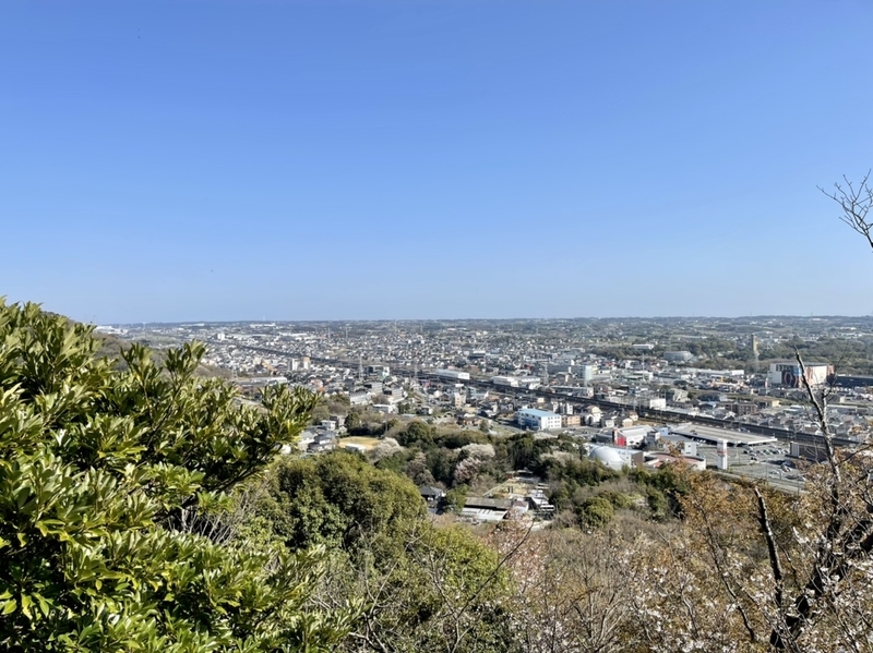 岩屋緑地　展望台