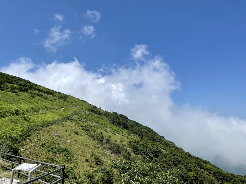 伊吹山　お手軽登山