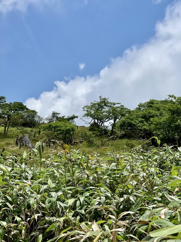 伊吹山　東登山道