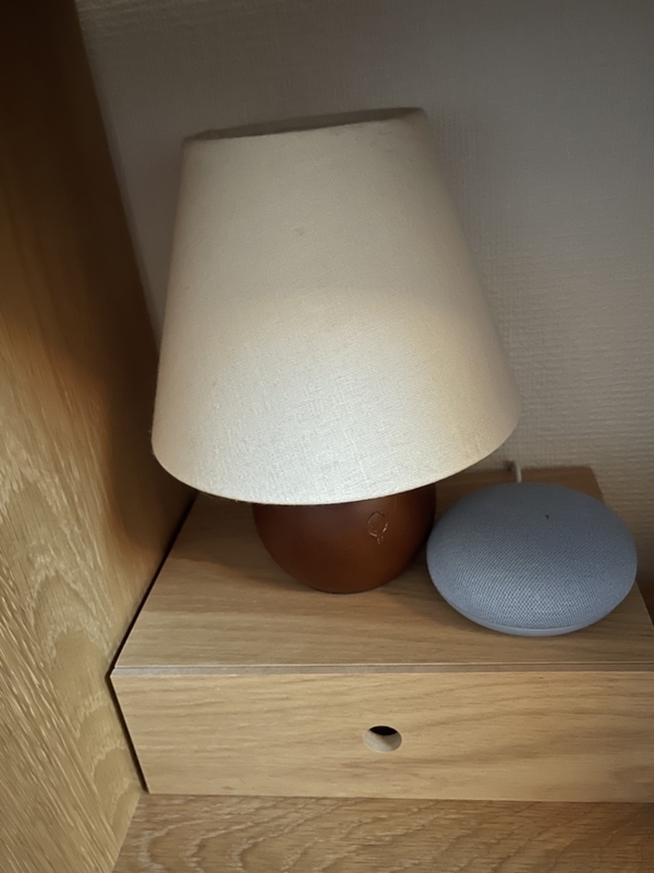 スマートプラグ　Google Nest　mini