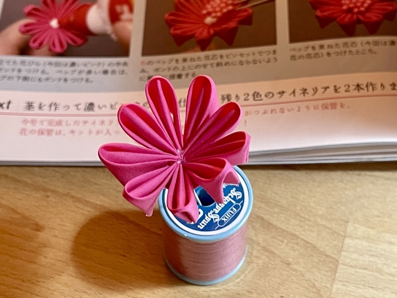 サイネリア　たのしいつまみ細工