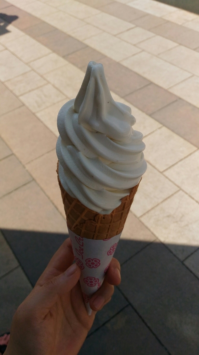 f:id:every-happy-day:20190516210530j:plain