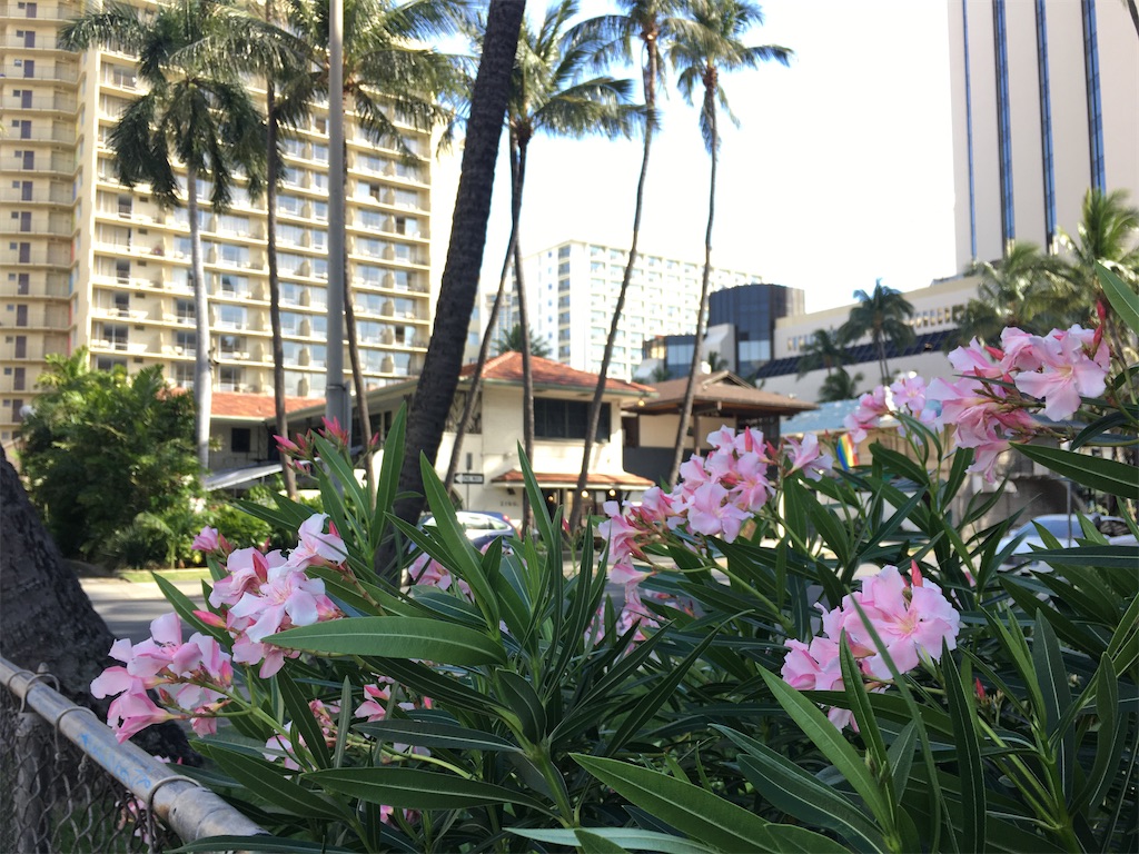 f:id:everyday_sandal:20200415154353j:image