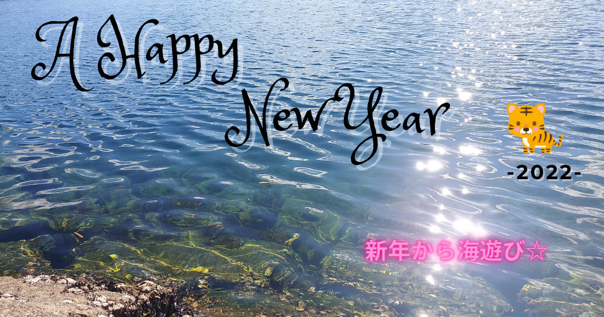 f:id:everydaymamax:20220101161232p:plain