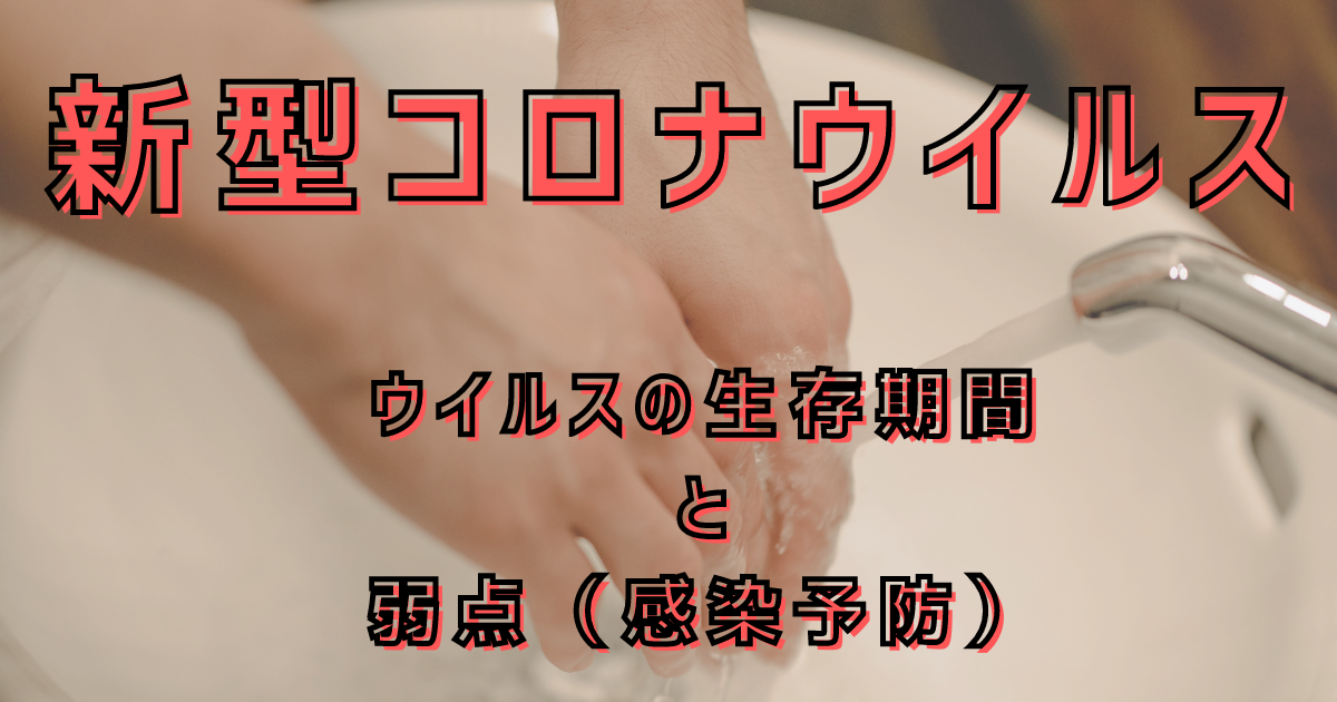 f:id:everydaymamax:20220115064553p:plain
