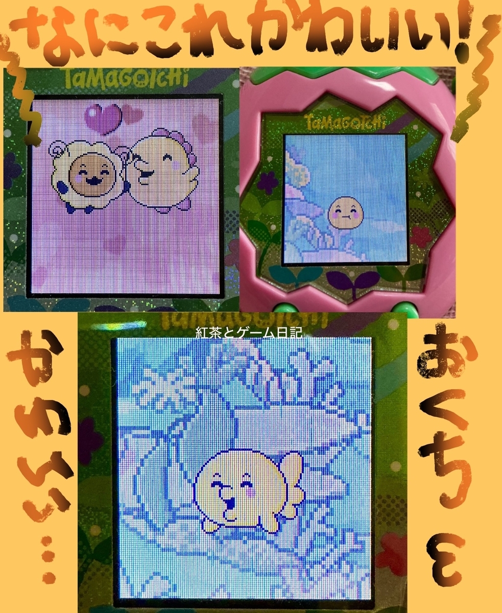 たまごっちパラダイスで育てた子たち 〜経過報告と感想〜 - 紅茶と