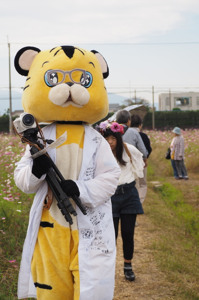 f:id:everynae-0508:20181125075514j:plain