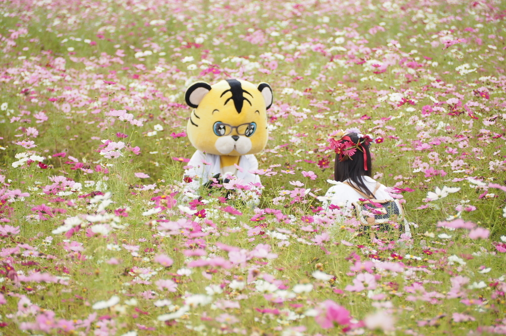 f:id:everynae-0508:20181125080823j:plain