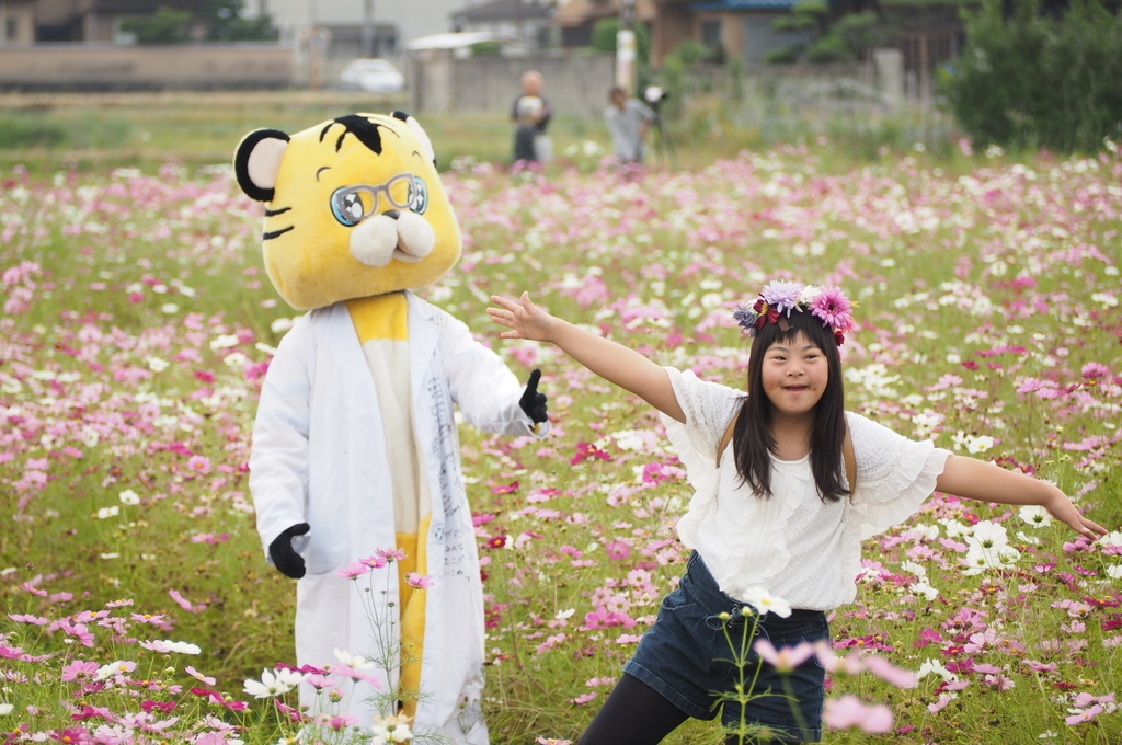 f:id:everynae-0508:20181125081209j:plain