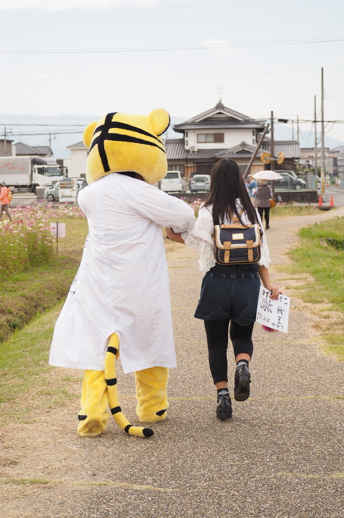 f:id:everynae-0508:20181125081453j:plain