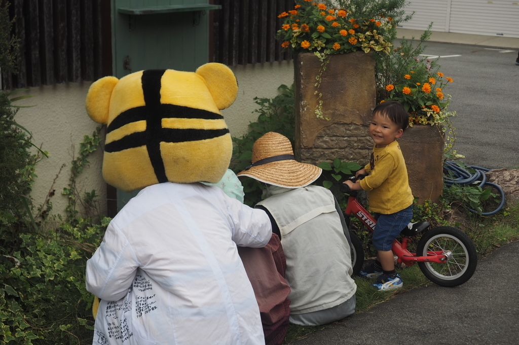 f:id:everynae-0508:20181125153535j:plain