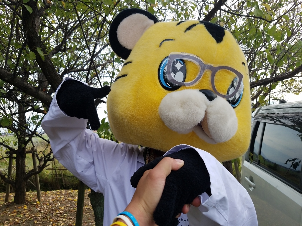 f:id:everynae-0508:20181125162956j:plain