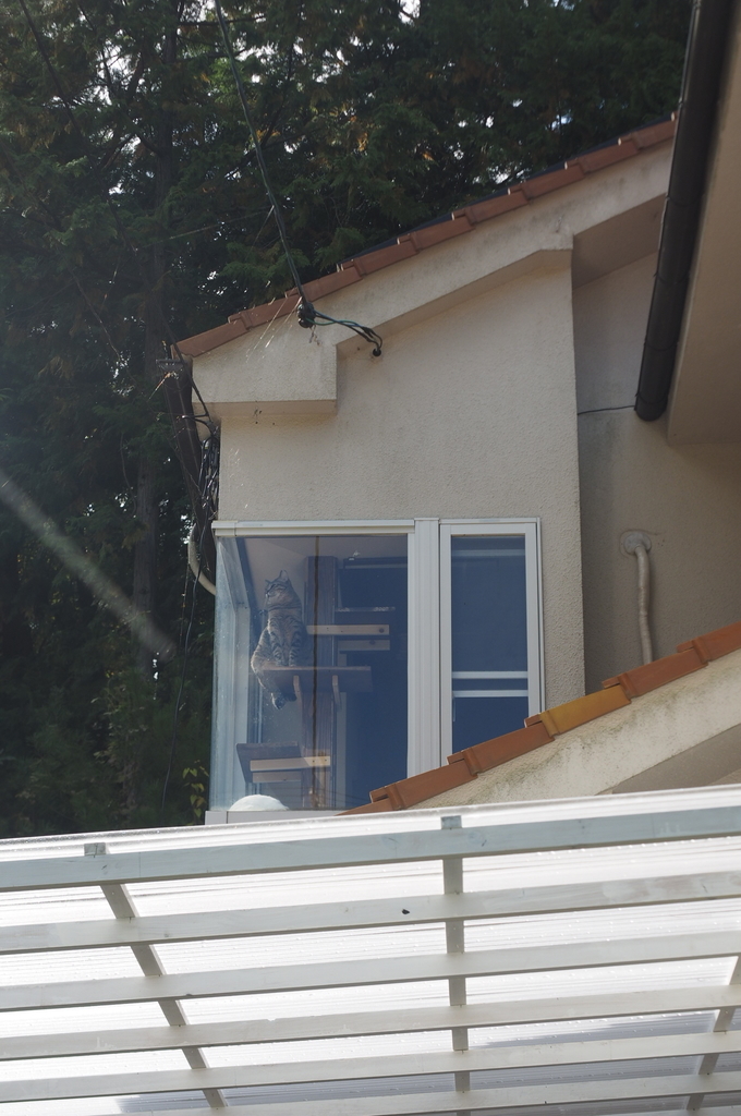 f:id:everynae-0508:20181128132734j:plain