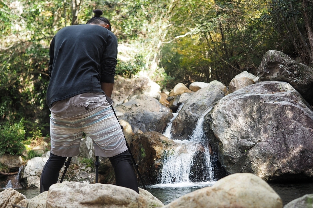 f:id:everynae-0508:20181128135954j:plain