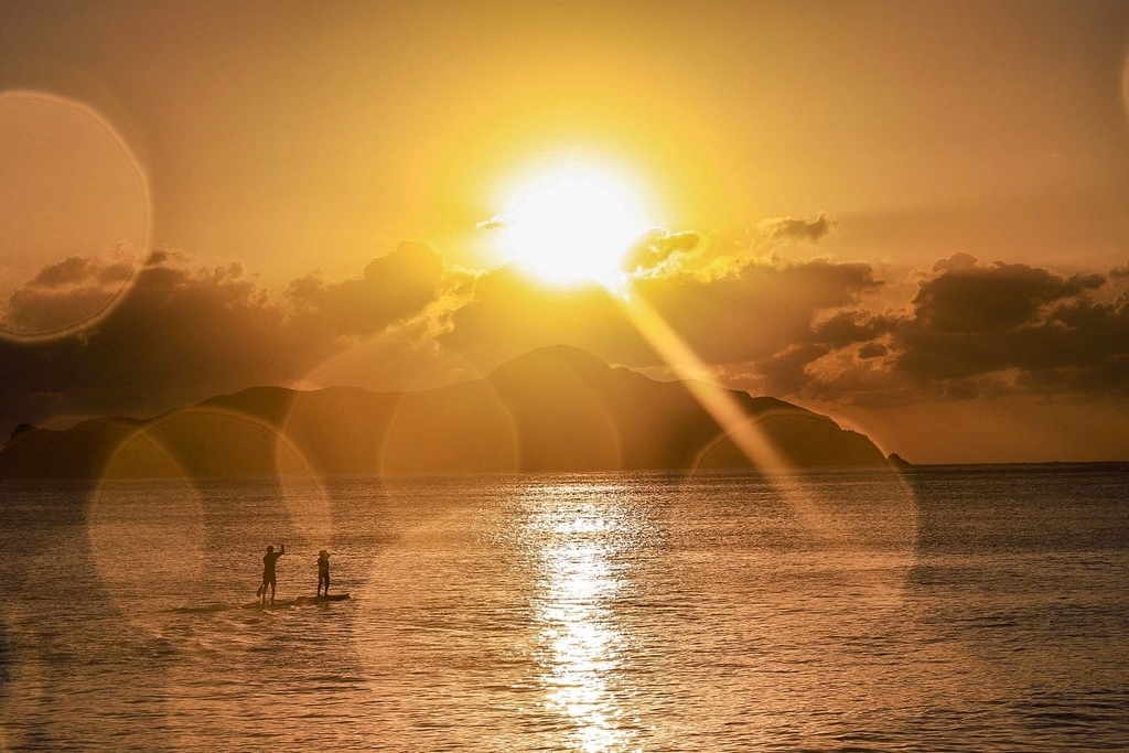 f:id:everynae-0508:20181129150323j:plain