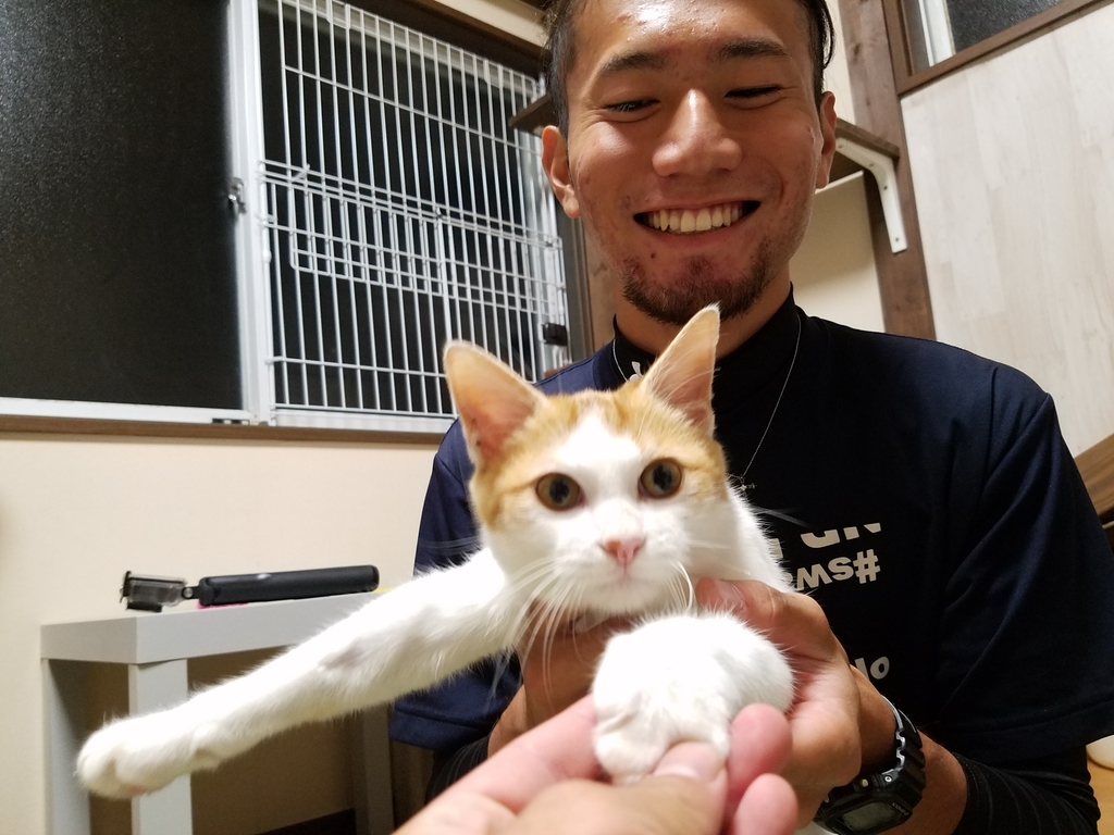 f:id:everynae-0508:20181129151754j:plain