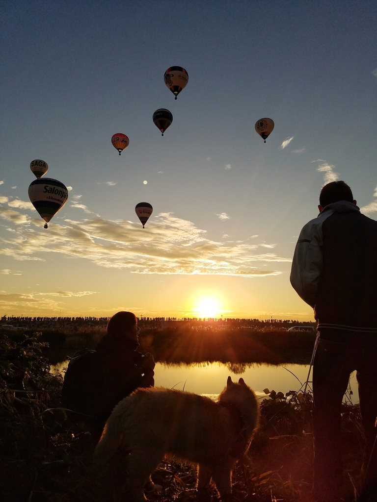 f:id:everynae-0508:20181211224601j:plain