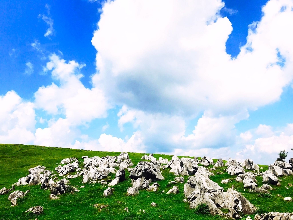 f:id:everynae-0508:20181212100939j:plain