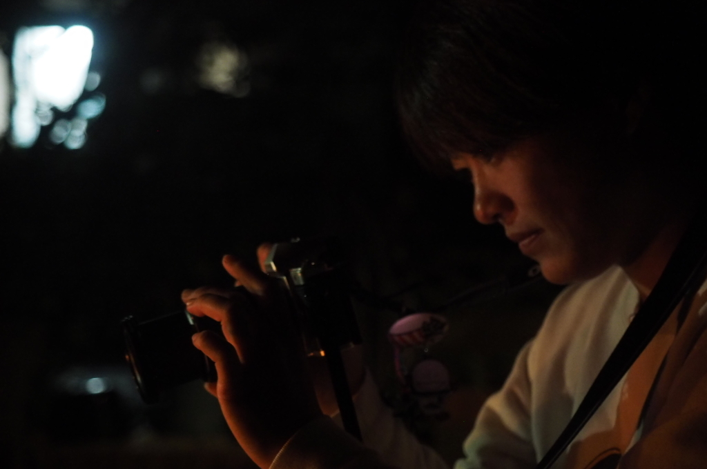 f:id:everynae-0508:20181216020339j:plain