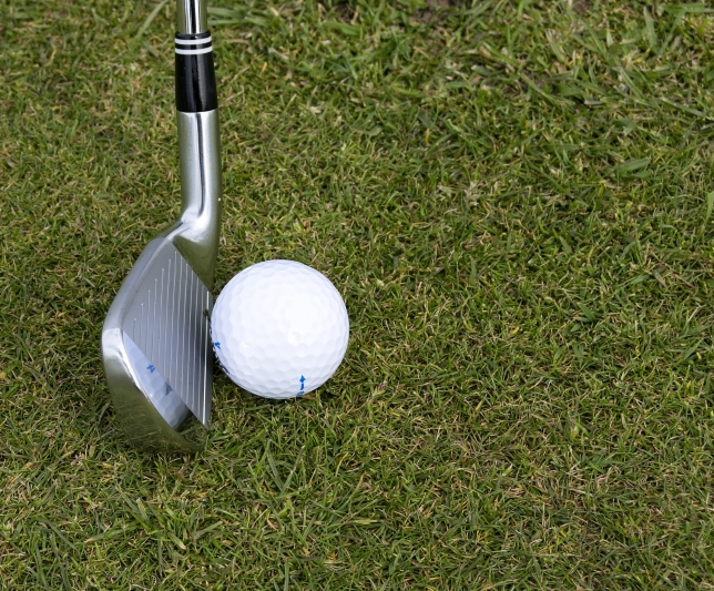 f:id:everythinggolf:20180707225240j:plain