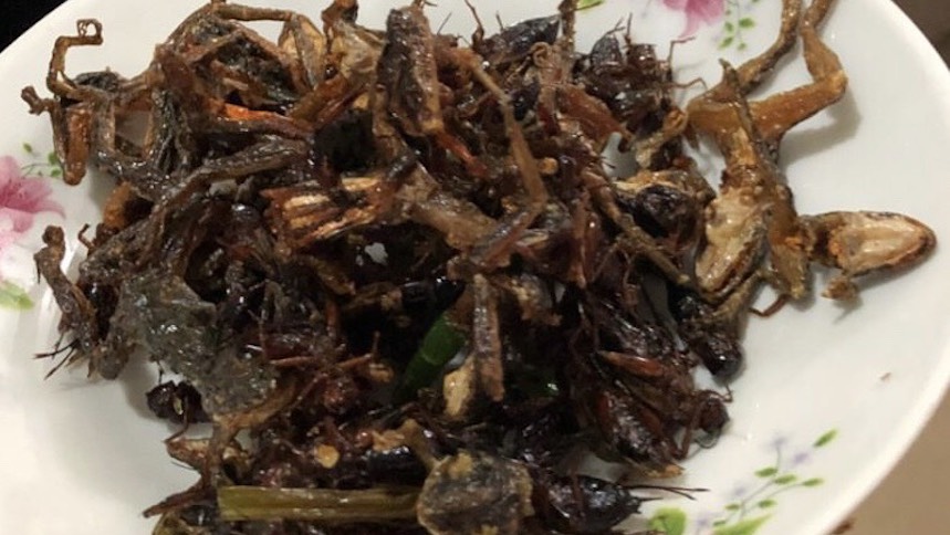 f:id:evfflowerch18m:20190227160847j:plain f:id:evfflowerch18m:20190227160847j:plain