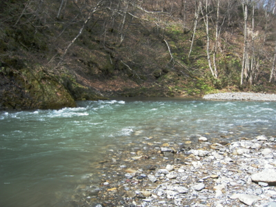 f:id:evoinp_p:20051204131438j:image