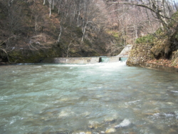 f:id:evoinp_p:20051204133159j:image