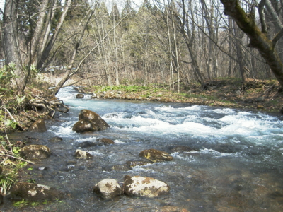 f:id:evoinp_p:20051204153930j:image