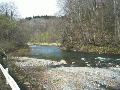 f:id:evoinp_p:20051205123946j:image