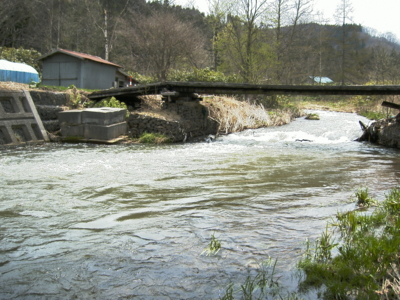 f:id:evoinp_p:20051205161218j:image