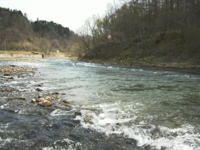 f:id:evoinp_p:20051205184452j:image