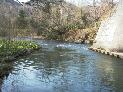 f:id:evoinp_p:20051205204713j:image
