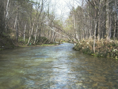 f:id:evoinp_p:20051220184834j:image