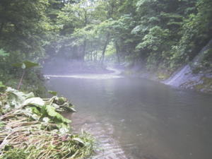 f:id:evoinp_p:20060201161302j:image