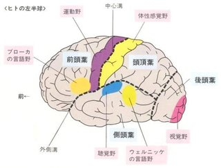 f:id:evolution8383:20190116135607p:plain f:id:evolution8383:20190116135607p:plain