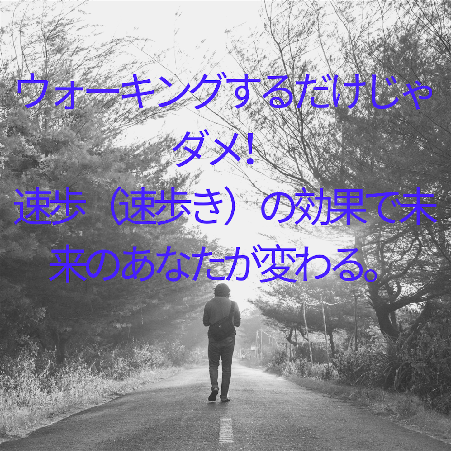 f:id:evolution8383:20190306130754p:image f:id:evolution8383:20190306130754p:image