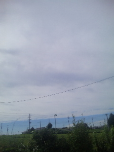 空