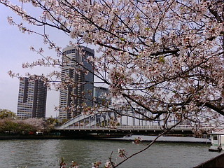 f:id:exajoe:20080412131046j:image:left