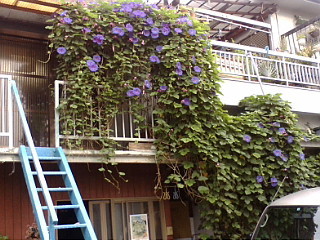 f:id:exajoe:20090618070706j:image:left