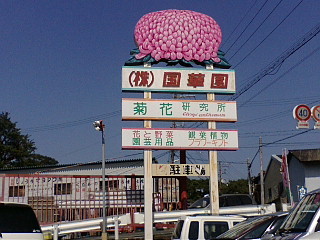 f:id:exajoe:20090906102748j:image:left