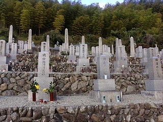 f:id:exajoe:20091103103051j:image:left f:id:exajoe:20091103103051j:image:left