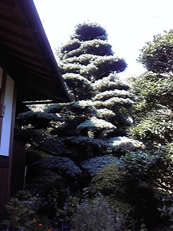 f:id:exajoe:20110814153228j:image:w240:left f:id:exajoe:20110814153228j:image:w240:left