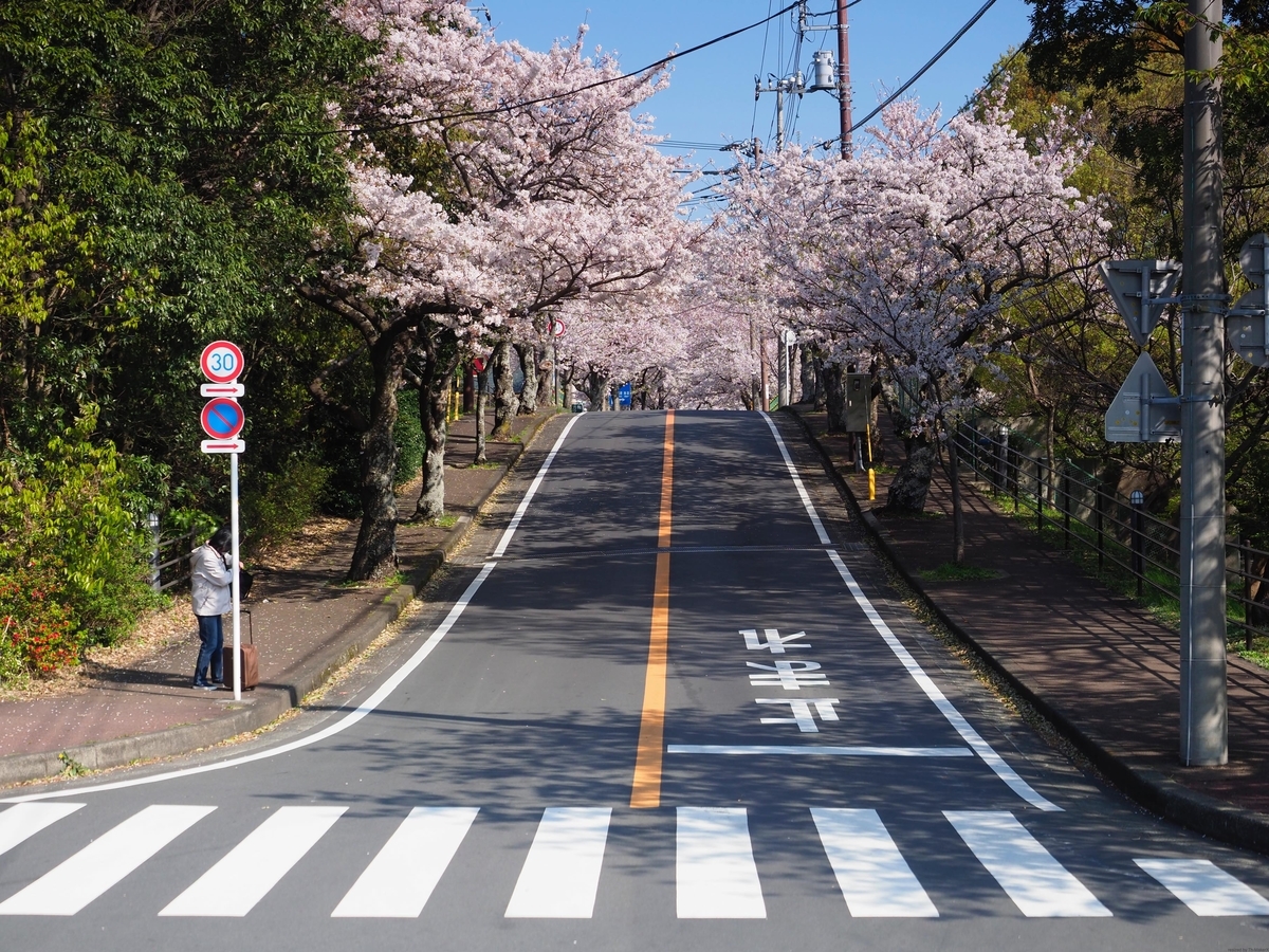 f:id:exceed-yukikaze:20190412075320j:plain
