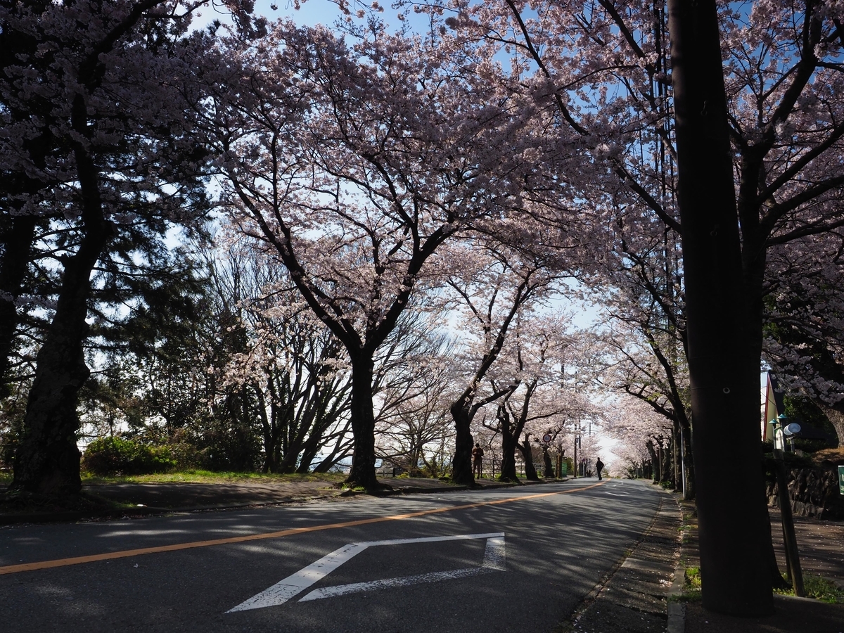 f:id:exceed-yukikaze:20190412075332j:plain