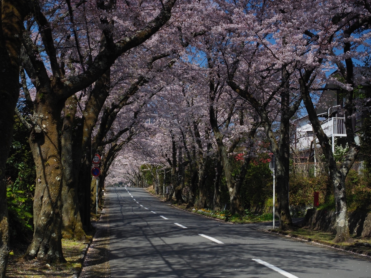 f:id:exceed-yukikaze:20190412075516j:plain