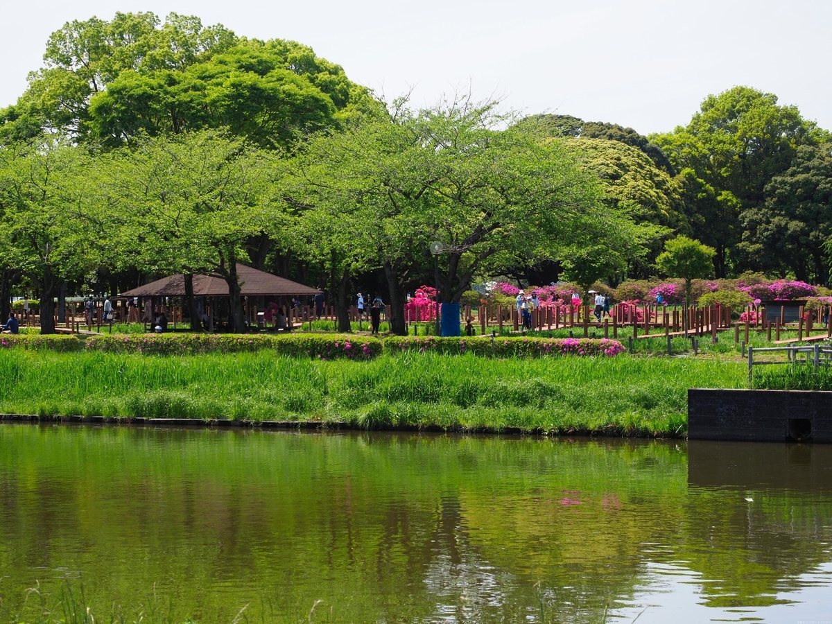 f:id:exceed-yukikaze:20190506215438j:plain f:id:exceed-yukikaze:20190506215438j:plain