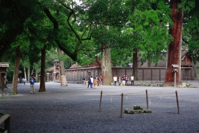 th__MG_0031.jpg