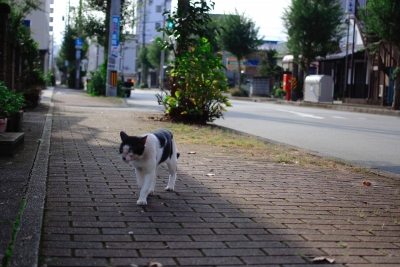 th__MG_0082.jpg